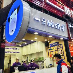 Yizhisuannainiu (jiefangbeibayilu) User Photo