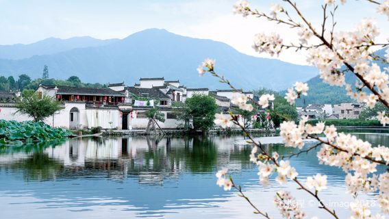 HuangshanTours