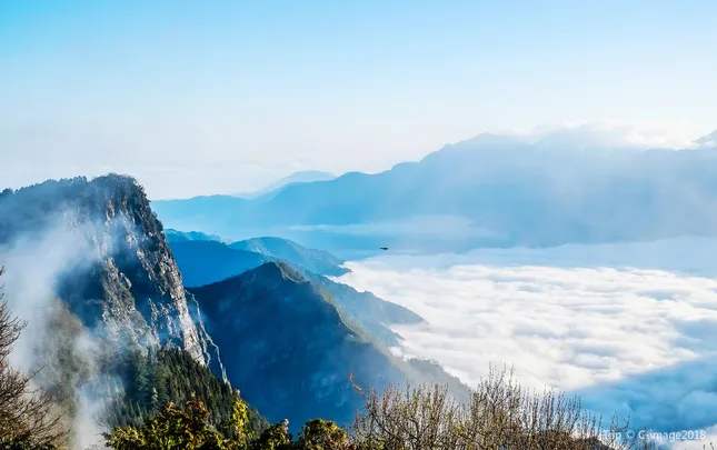 5_阿里山國家風景區