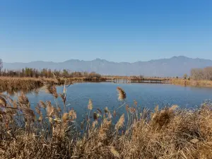 Beijing Wild Duck Lake National Wetland Park