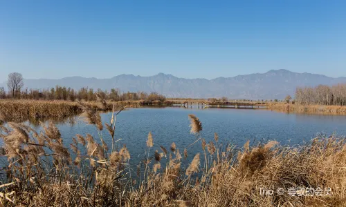 Beijing Wild Duck Lake National Wetland Park