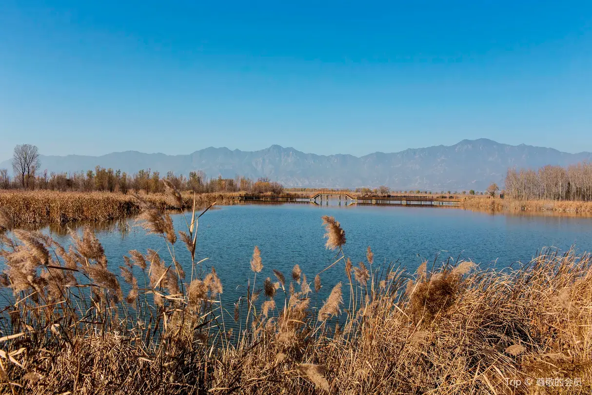 2_Beijing Wild Duck Lake National Wetland Park