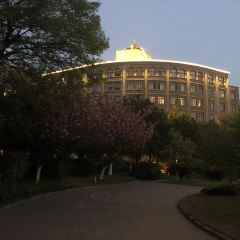 Shengleikedajiudian'aiqinhai Western Restaurant User Photo