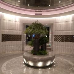 The Anandi Hotel and Spa Shanghai·mijingxicantingzizhucan User Photo