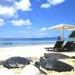 Beach Bar User Photo