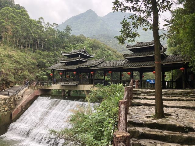 Ziyungu