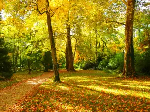 Arboretum National des Barres