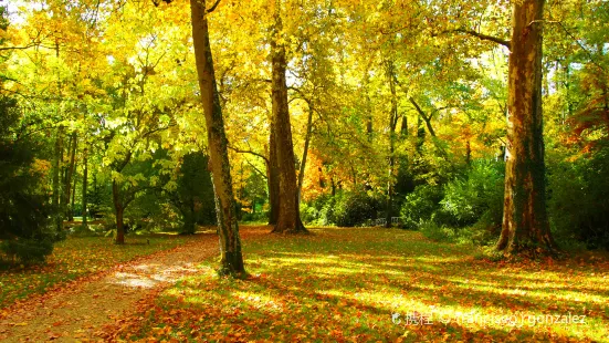 Arboretum National des Barres