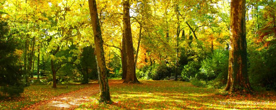 Arboretum National des Barres