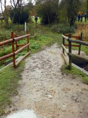 Mud Pond Trail at Pondicherry NWR