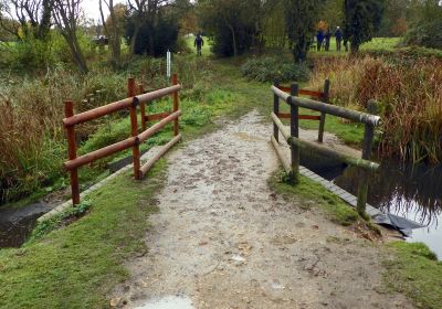 Mud Pond Trail at Pondicherry NWR