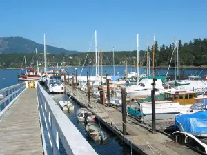 Salmon River Lighthouse & Marina