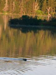 Gale Meadows Pond