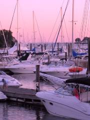 Mystic Point Marina