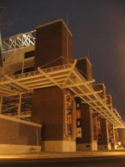 Reser Stadium