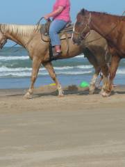 South Padre Island Adventure Park