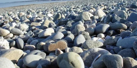 楠塔斯基特比奇