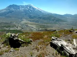 Mt Washington