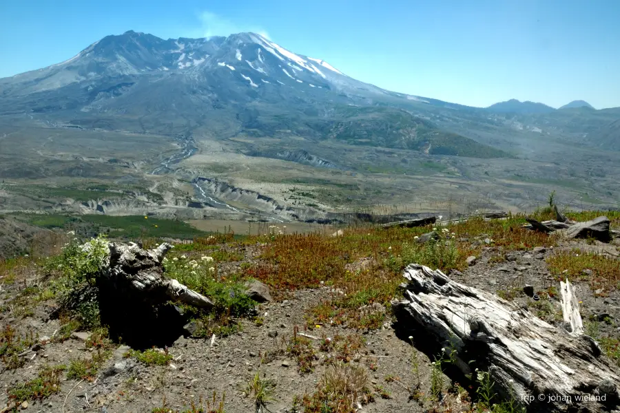 ワシントン山