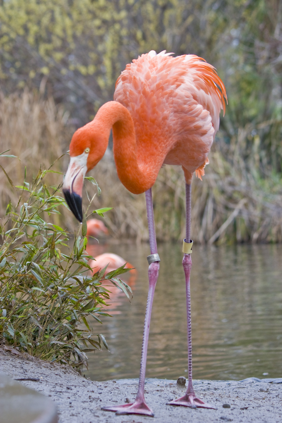 2026 Sacramento Travel Guide: must-see attractions, popular food, hotels, transport & travel experiences (updated in March)