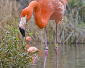 香港-薩克拉門托 機票酒店 自由行