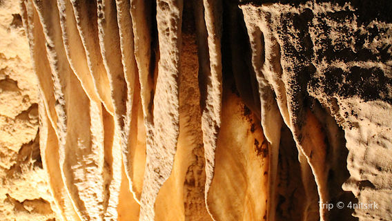 Cutta Cutta Caves Nature Park