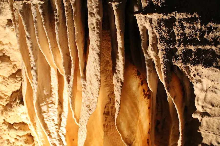 Cutta Cutta Caves Nature Park