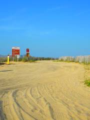 Island Beach State Park