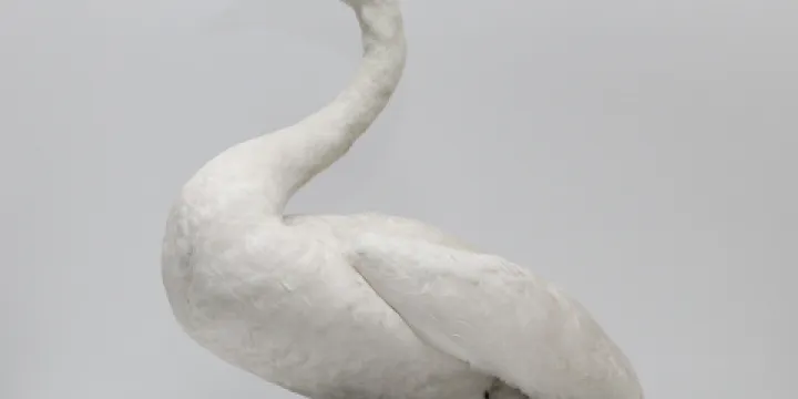 Rosenbruch World Wildlife Museum