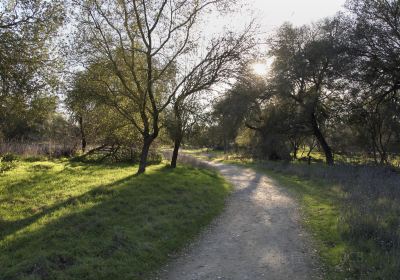 Effie Yeaw Nature Center