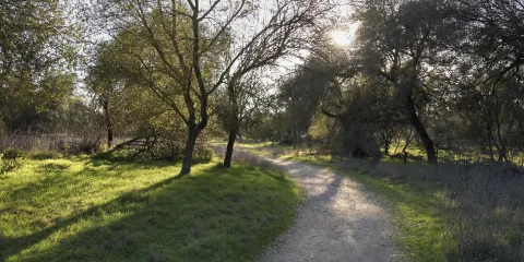 Effie Yeaw Nature Center