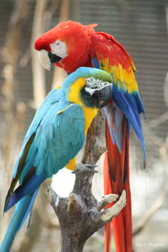 3_San Antonio Zoo