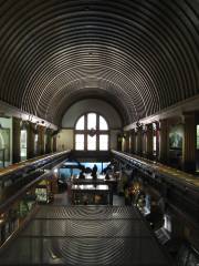 Fairbanks Museum and Planetarium