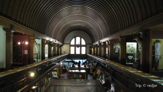 Fairbanks Museum & Planetarium