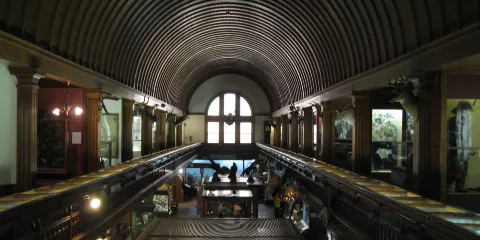 Fairbanks Museum and Planetarium