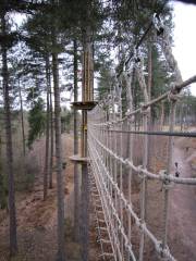 Go Ape Aberfoyle