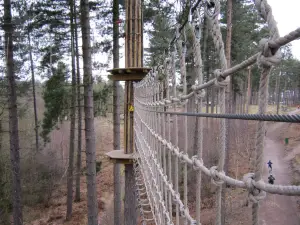 Go Ape Aberfoyle
