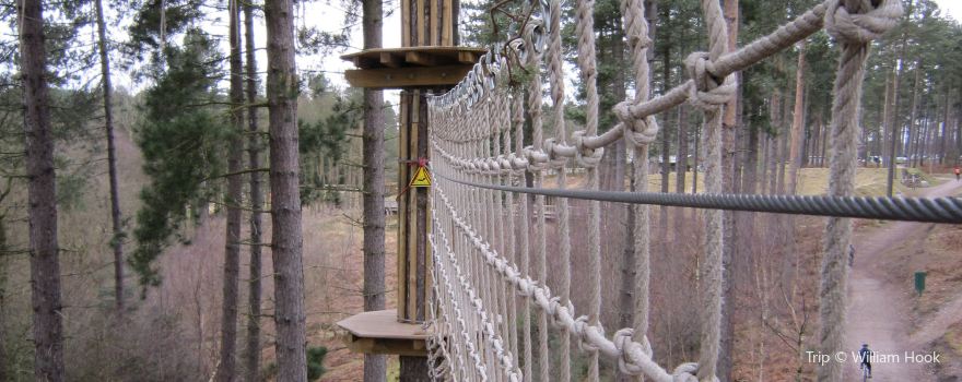 Go Ape Aberfoyle