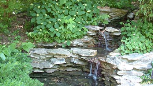 Shelter Gardens