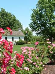 Shelter Gardens