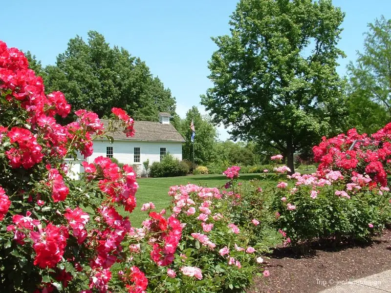 Shelter Gardens