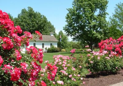 Shelter Gardens