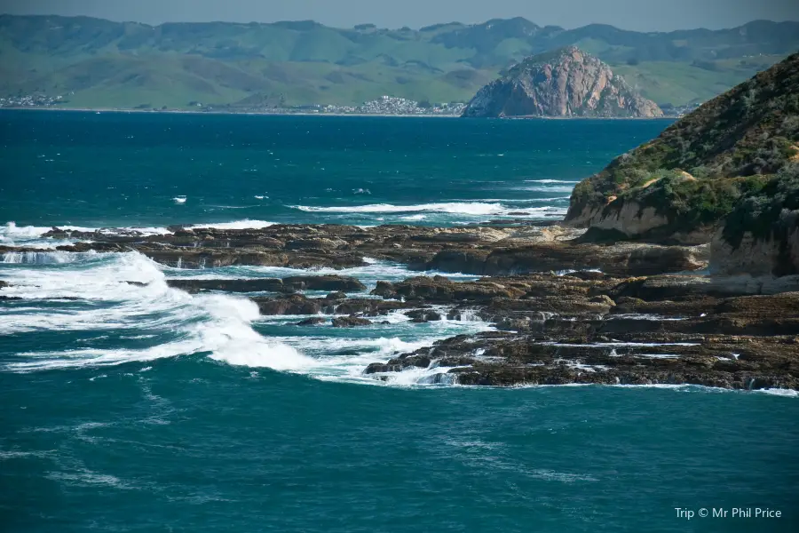 Morro Bay State Park