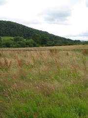 Carding Mill Valley