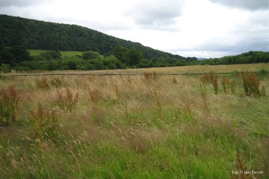 Carding Mill Valley and the Long Mynd