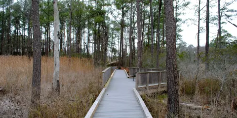 Bethany Beach Nature Center