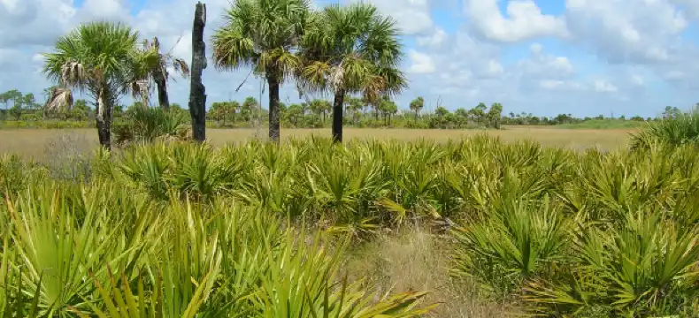 Hotels in Harris County