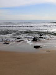 Manasquan Beach