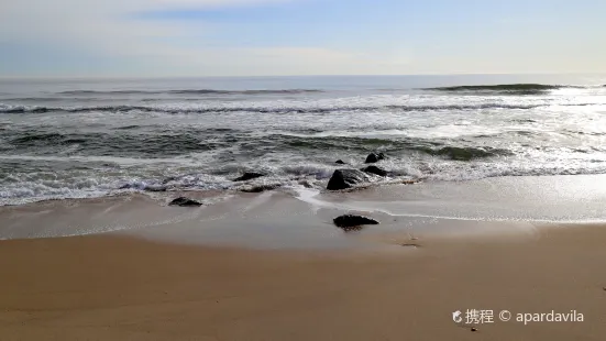 Manasquan Beach