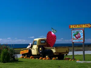 Суонтон Берри Фарм